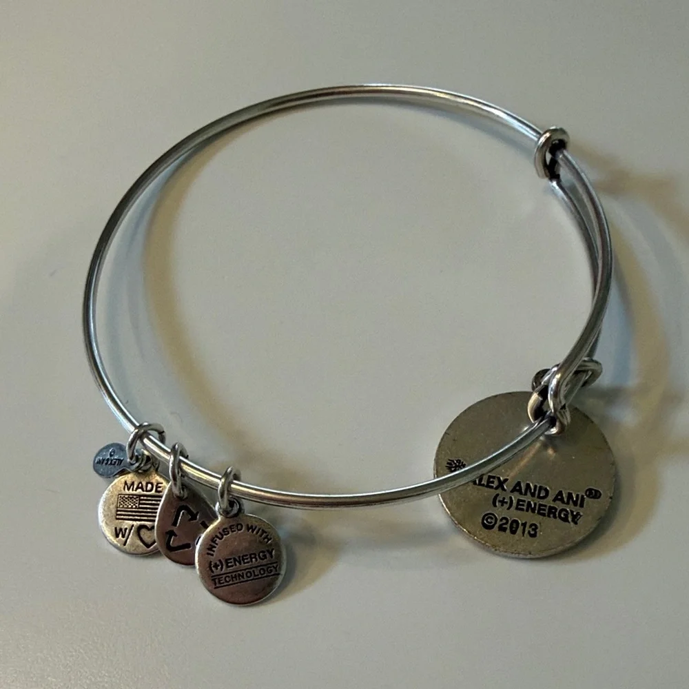 Alex and Ani Silver 'M' Charm Bracelet